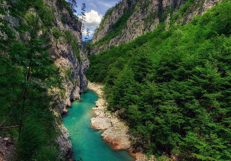Каньон реки Тара в Черногории.