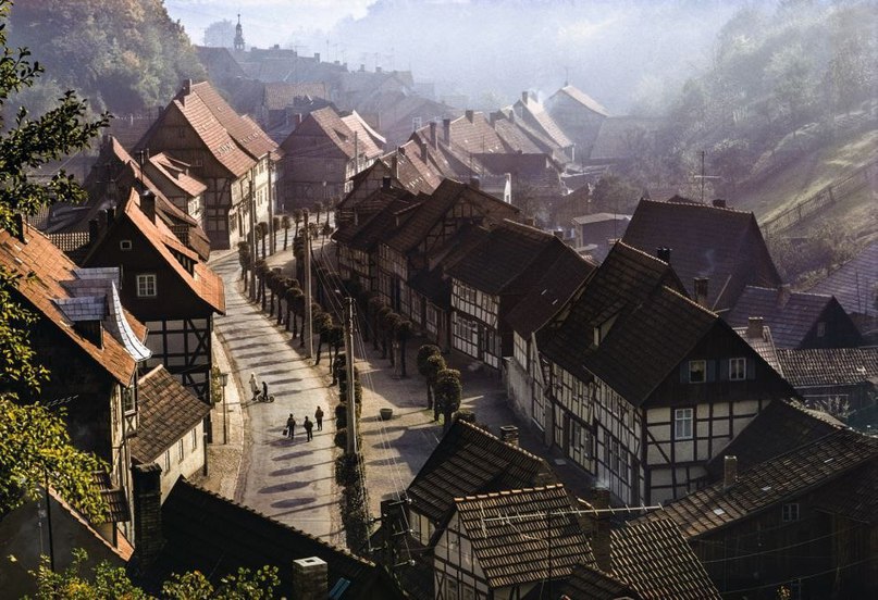 10 лучших фотографий из 125-летней истории National Geographic - 7