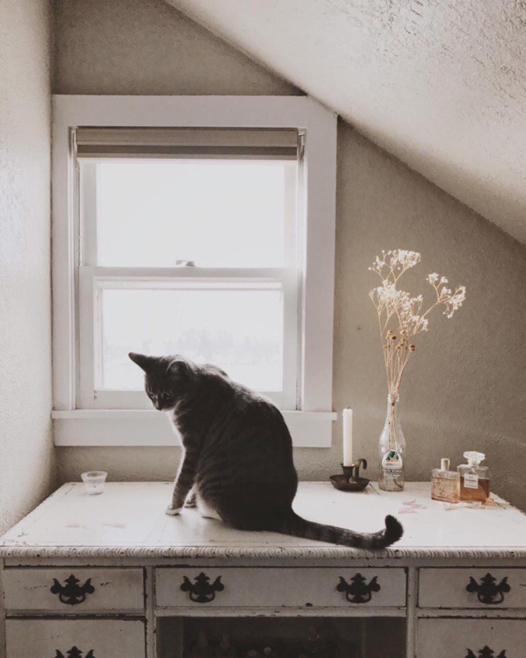 Photos by Helena Moore - 6