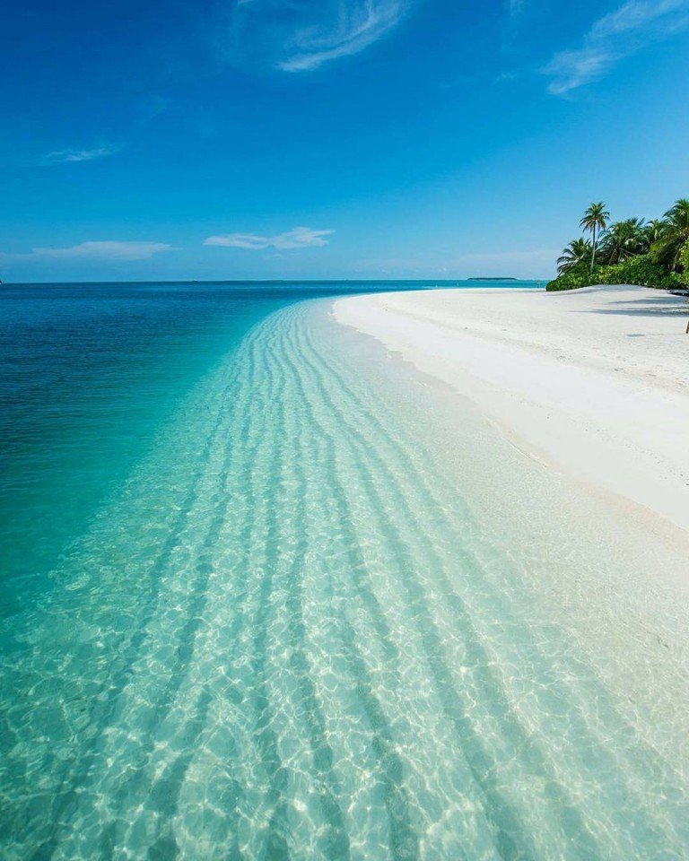 Тем временем на Мальдивах