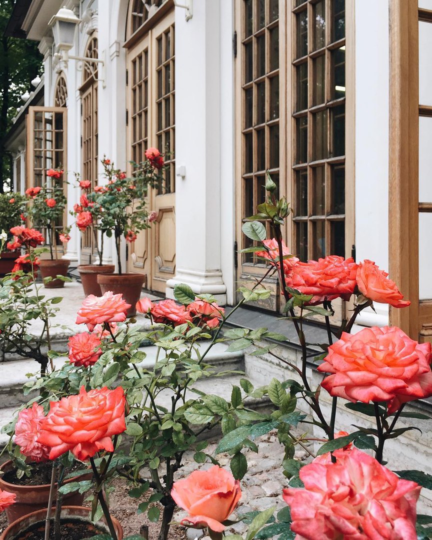 Санкт-Петербург - 9