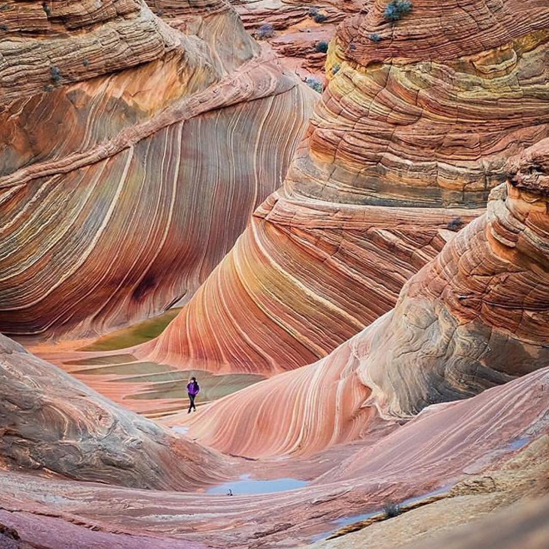 Аризона, США