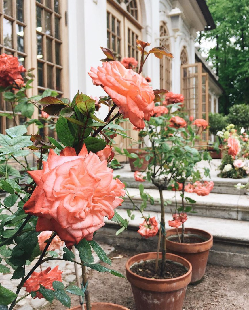 Санкт-Петербург - 7