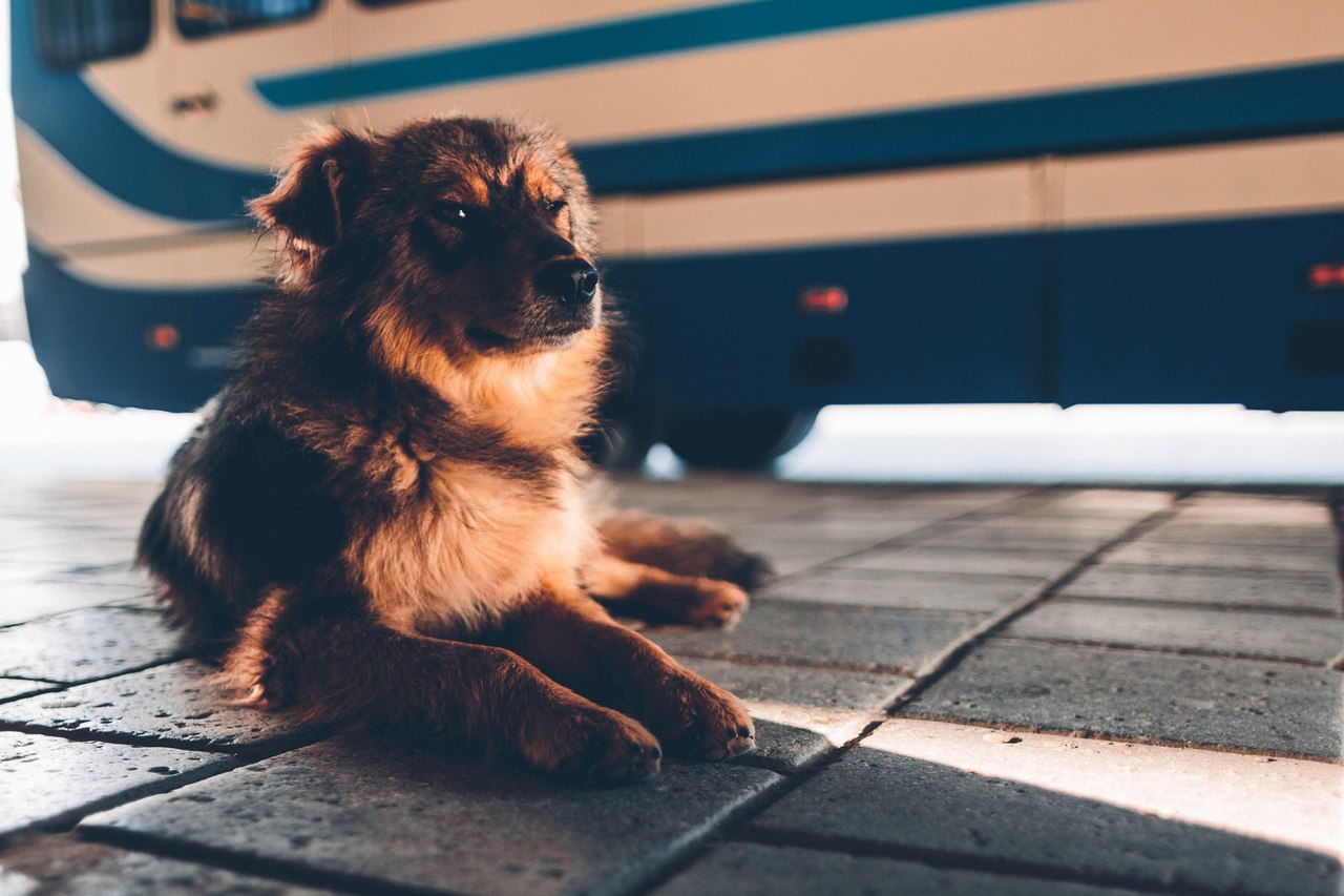 Керчь, Крым - 5