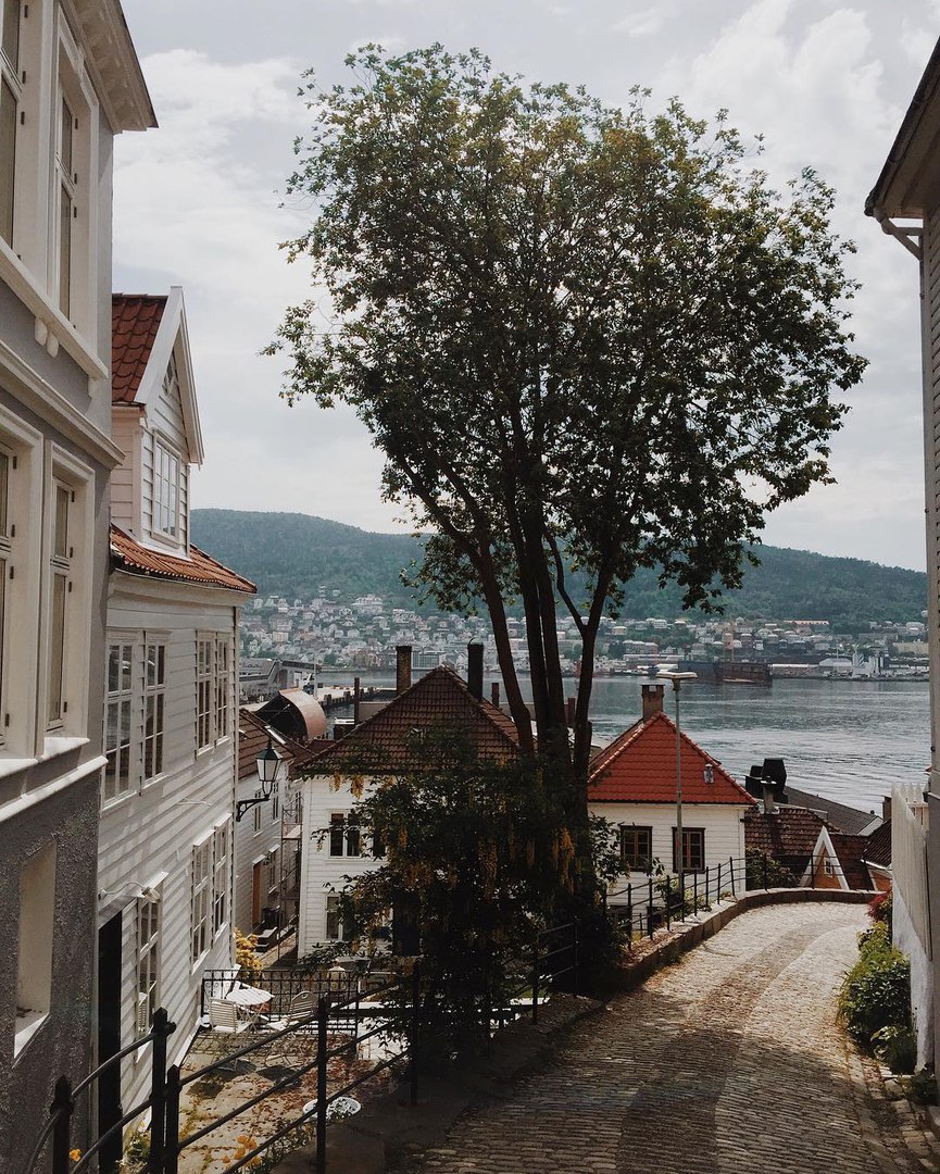 Норвегия - 8