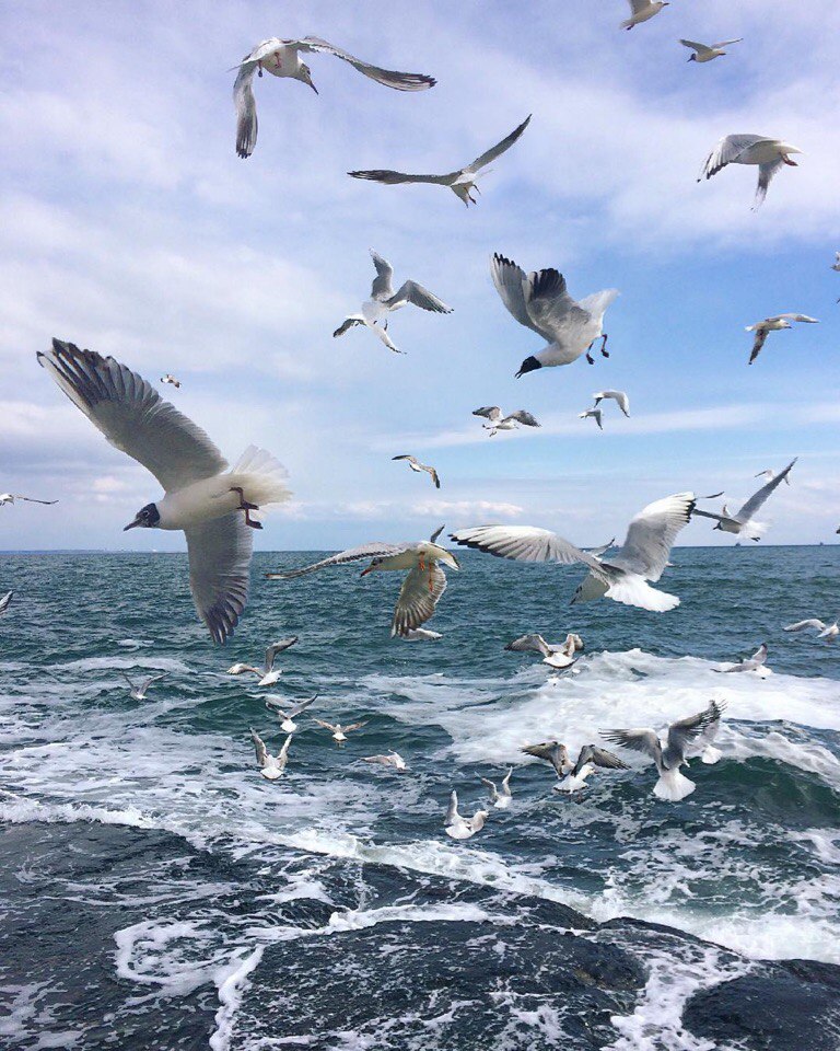 Одесса, Украина - 9