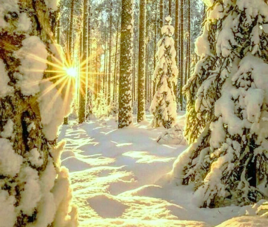 Зимняя сказка - 6