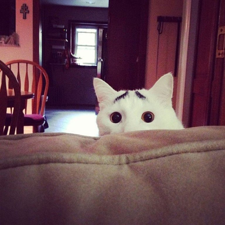 Природа проверяет свои творческие способности - 8