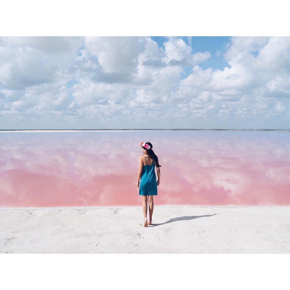 Photos by Palomaparrot