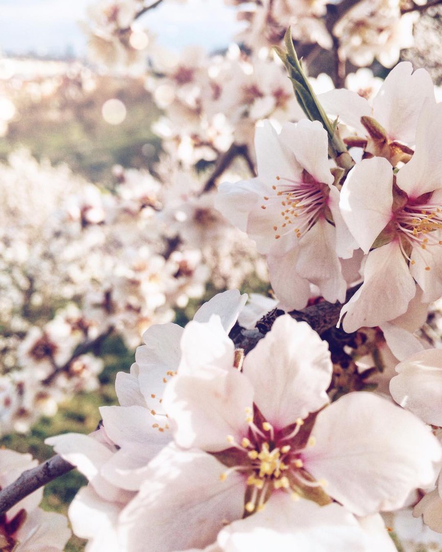 Prague, Czech Republic - 8