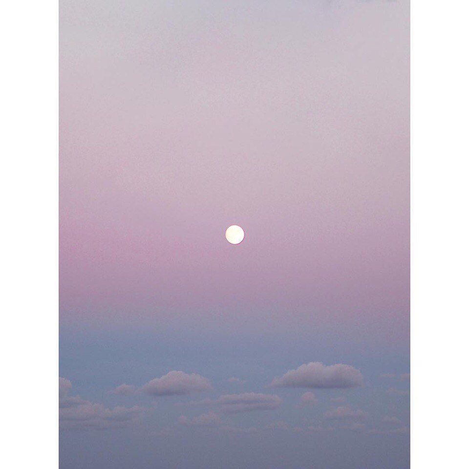 Фотографії Паломапарто - 5