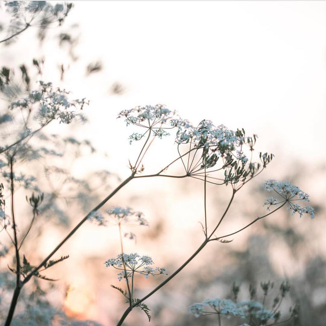 Об'єднане Королівство - 8