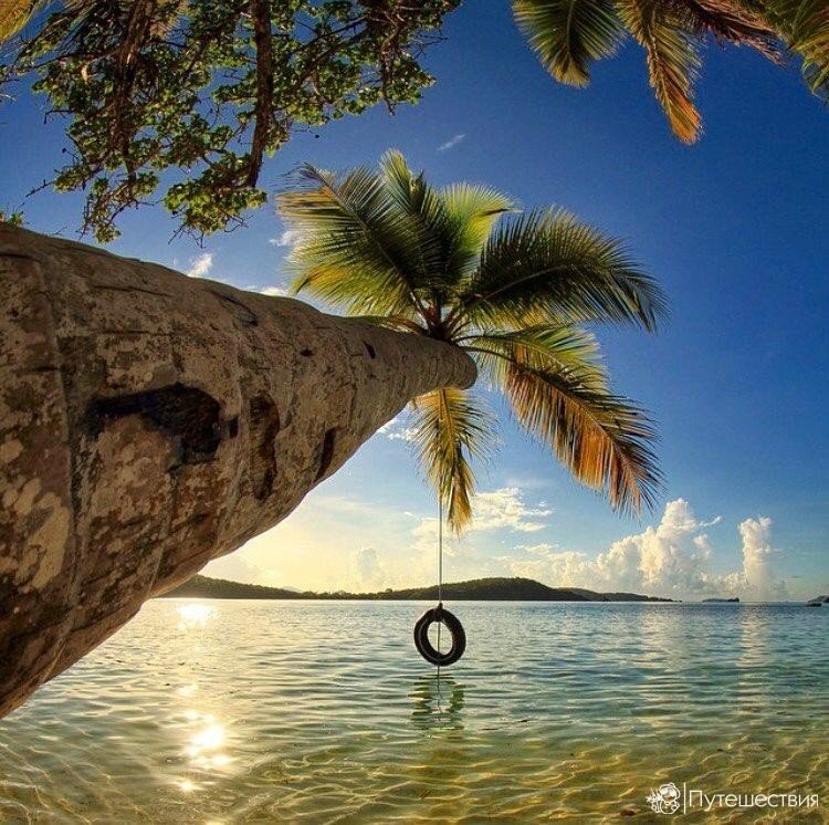 Тем временем на Доминикане