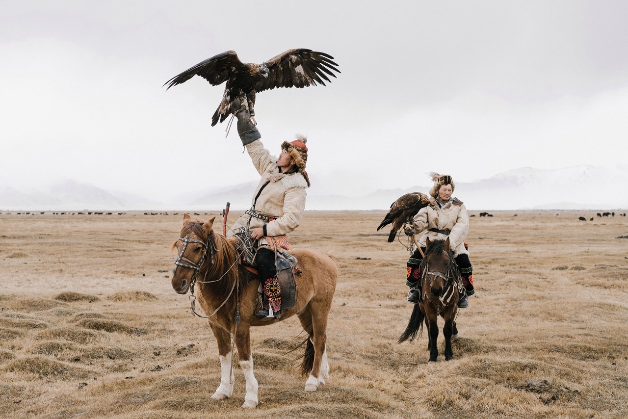 Беркутчи, Охотники в Монголии - 5
