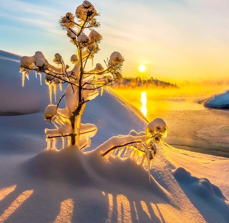 Зимняя сказка