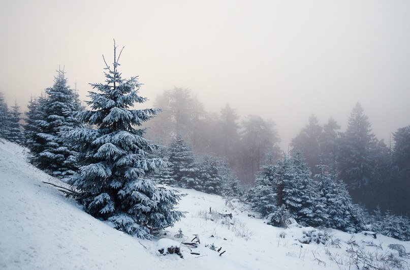 Не позволяйте часам и календарю затмевать тот факт, что каждая секунда жизни есть чудо и тайна.
