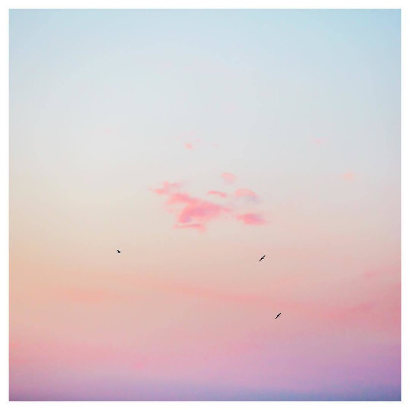 Meanwhile, on the beaches of Sydney ... - 3