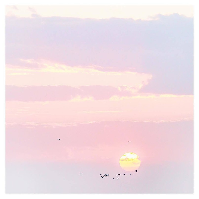 Meanwhile, on the beaches of Sydney ... - 2