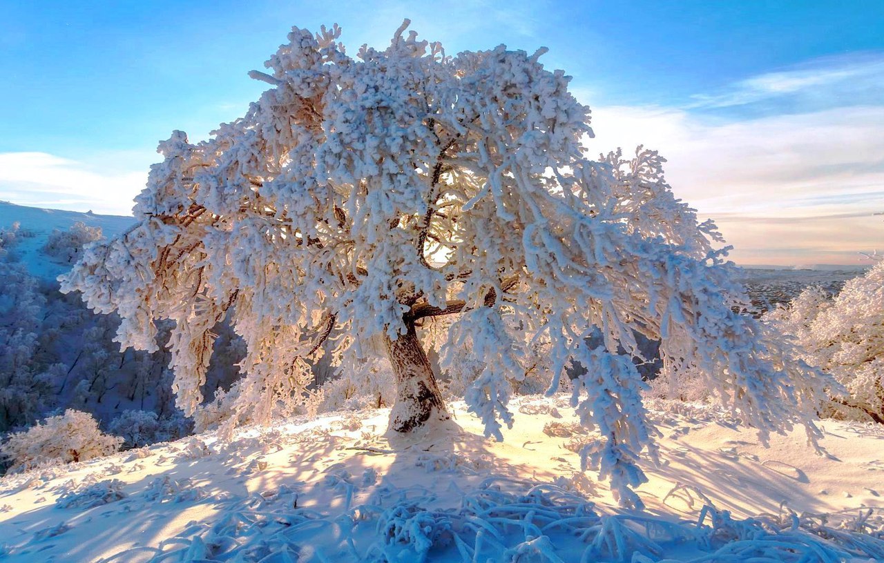 Зимова казка - 9