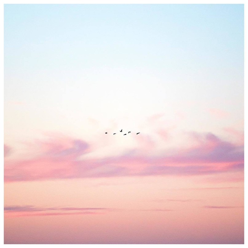 Meanwhile, on the beaches of Sydney ... - 4