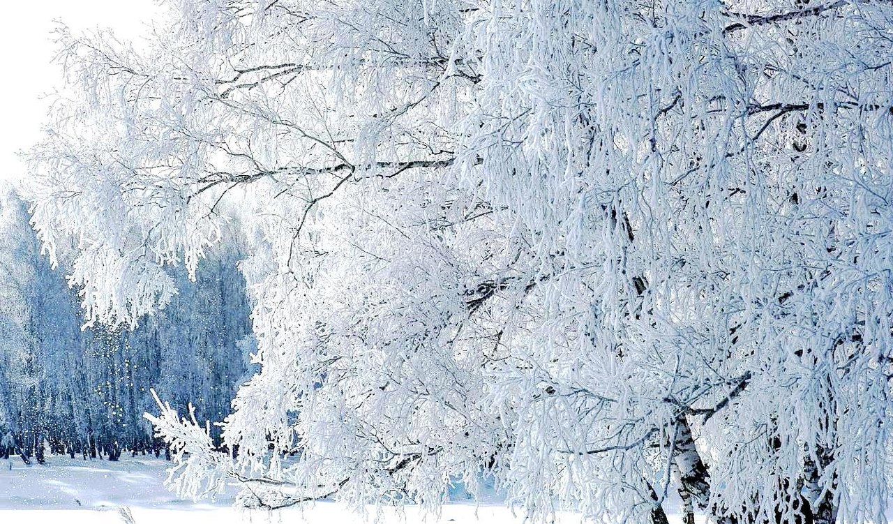 Зимова казка - 7