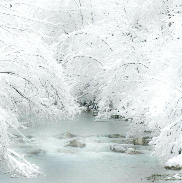 Зимова казка - 8