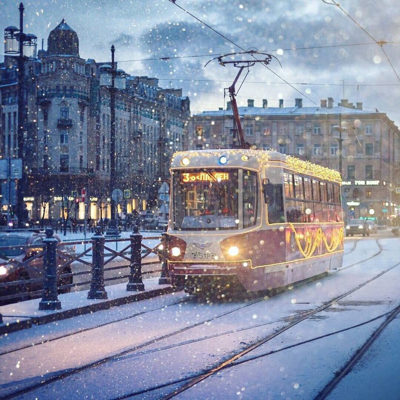 Fairy Winter Peter - 5