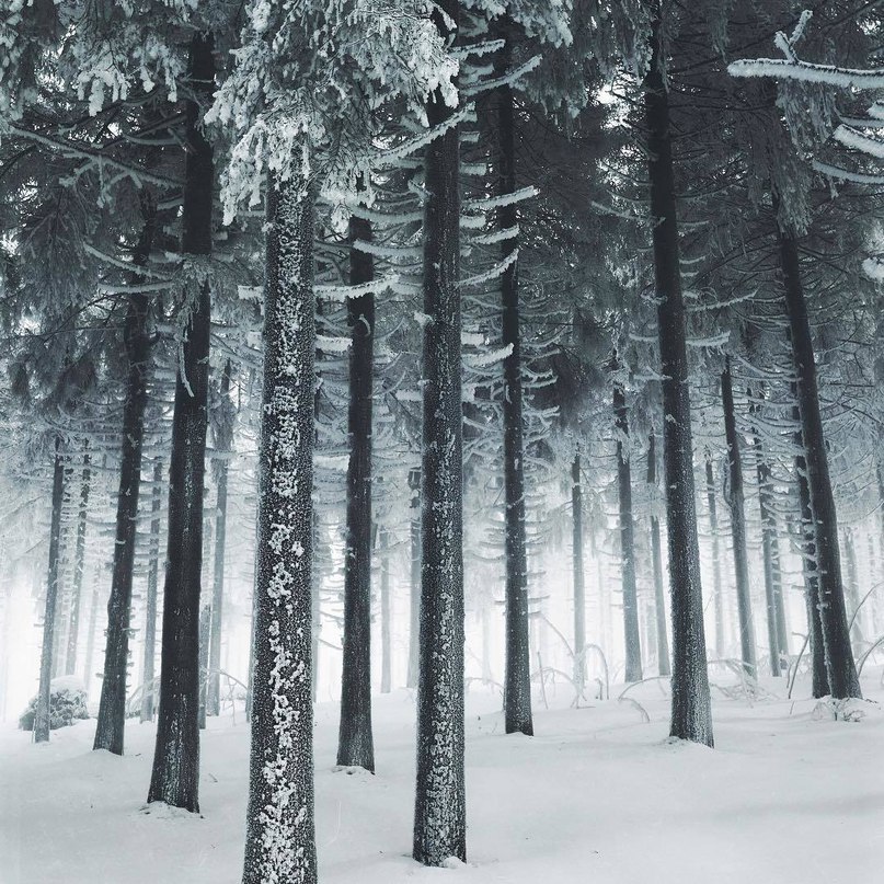 Если день пасмурный, свети сам тем добром, какое имеешь, – и вокруг тебя станет светлее. <br><br>Симеон Афонский