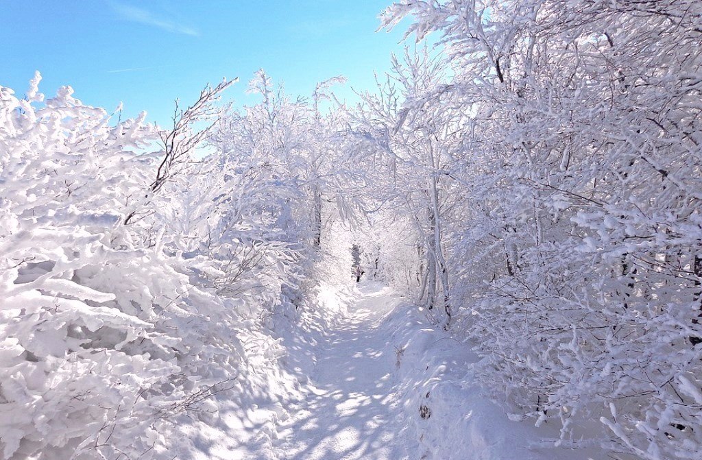 Зимова казка - 5