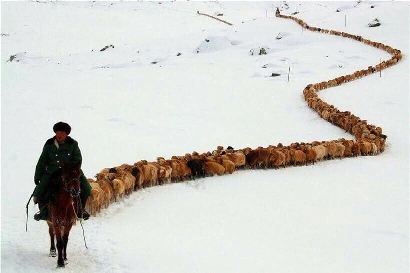 Дисциплина