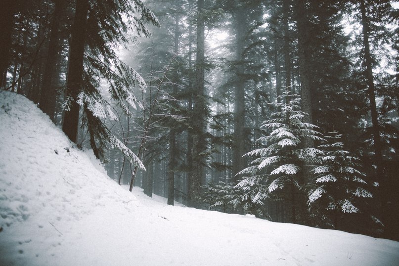 Winter is the magic of Nature itself. - 6