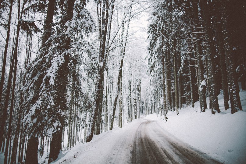 Winter is the magic of Nature itself. - 5