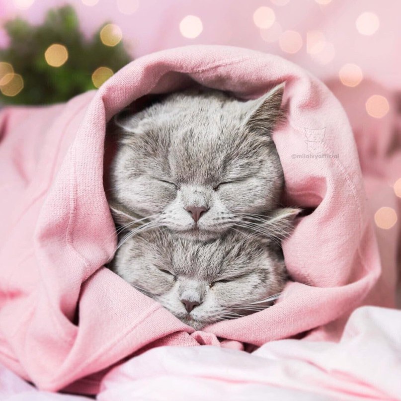 Весна, любовь. - 5