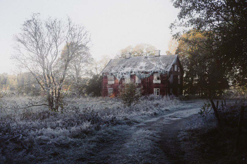 Похмура краса занедбаних будівель.