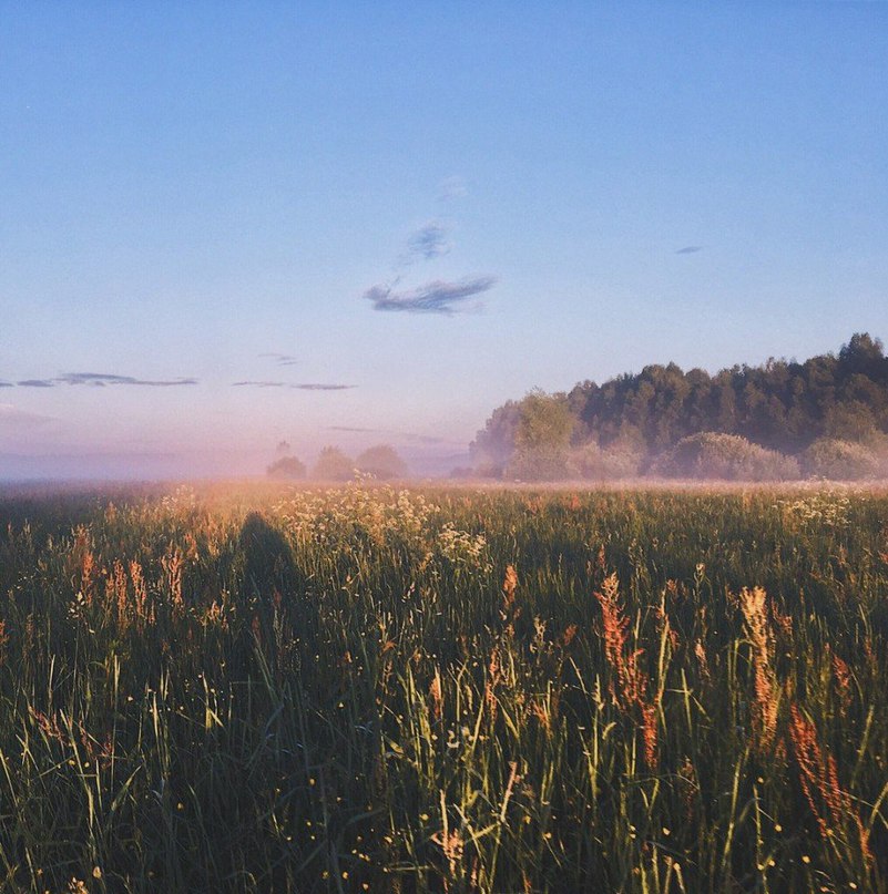 Просто дайте мне  уже лето. - 5