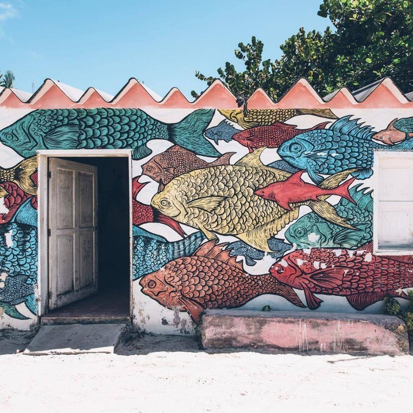 Все заслуживают немного ярких мексиканских эмоций - 6