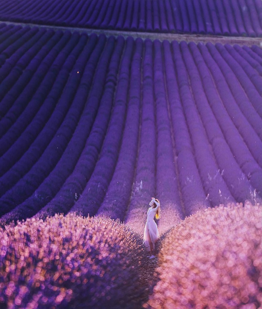 Provence, France - 9