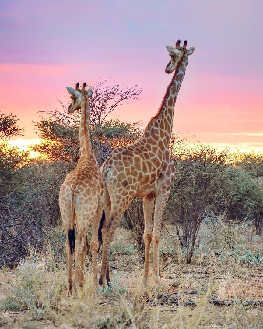 Набимия, Африка - 7