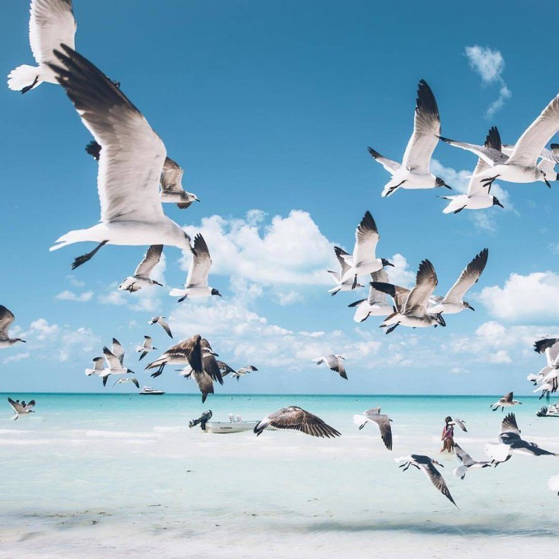 Все заслуживают немного ярких мексиканских эмоций - 9