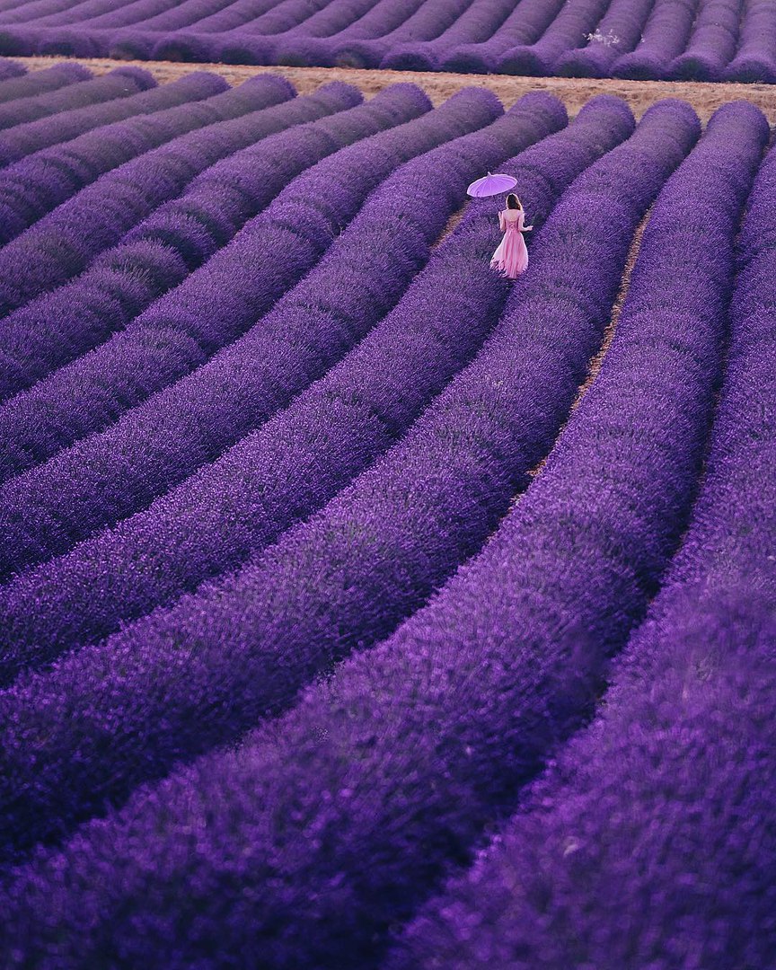 Provence, France - 5