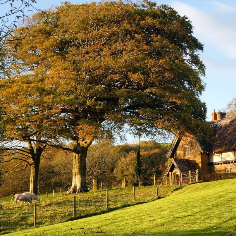 Britain as a dose of sedative