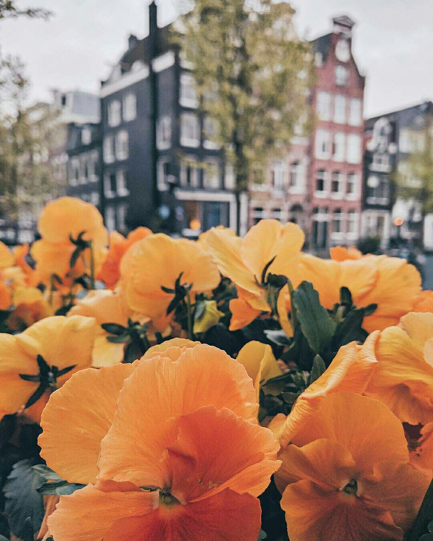 Amsterdam, The Netherlands - 6