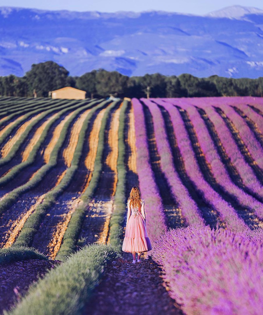 Provence, France - 8