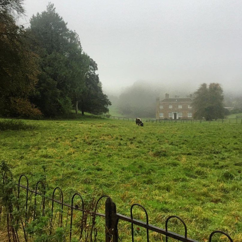 Британия как доза успокоительного - 6