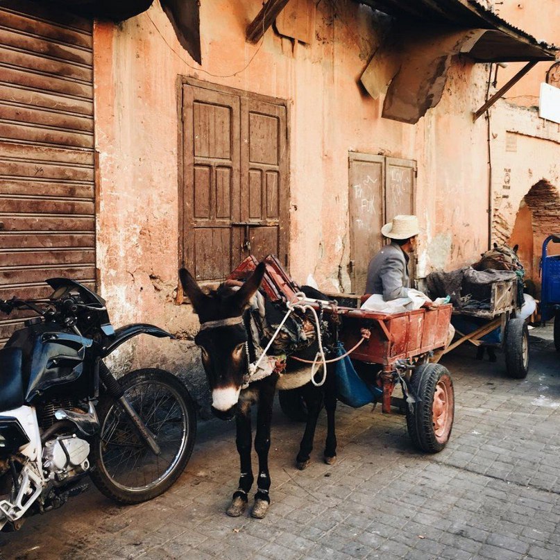 Such an alluring Morocco - 8