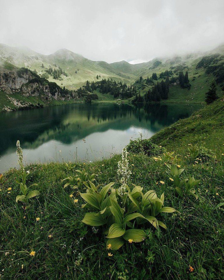 Сидеть бы тут и наслаждаться красотой...