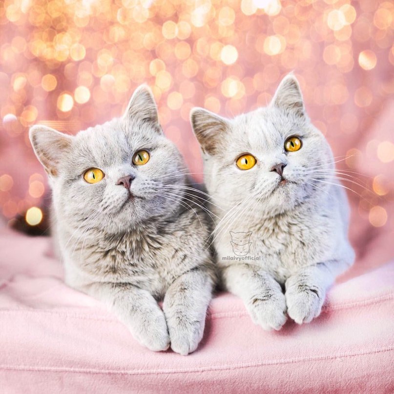 Весна, любовь. - 6