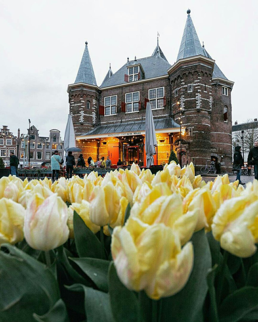 Amsterdam, The Netherlands - 9