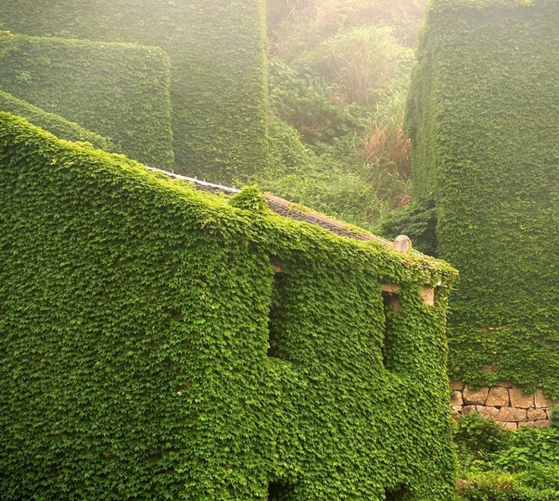 Fisherman's Chinese village - a place of harmony between man and nature - 6