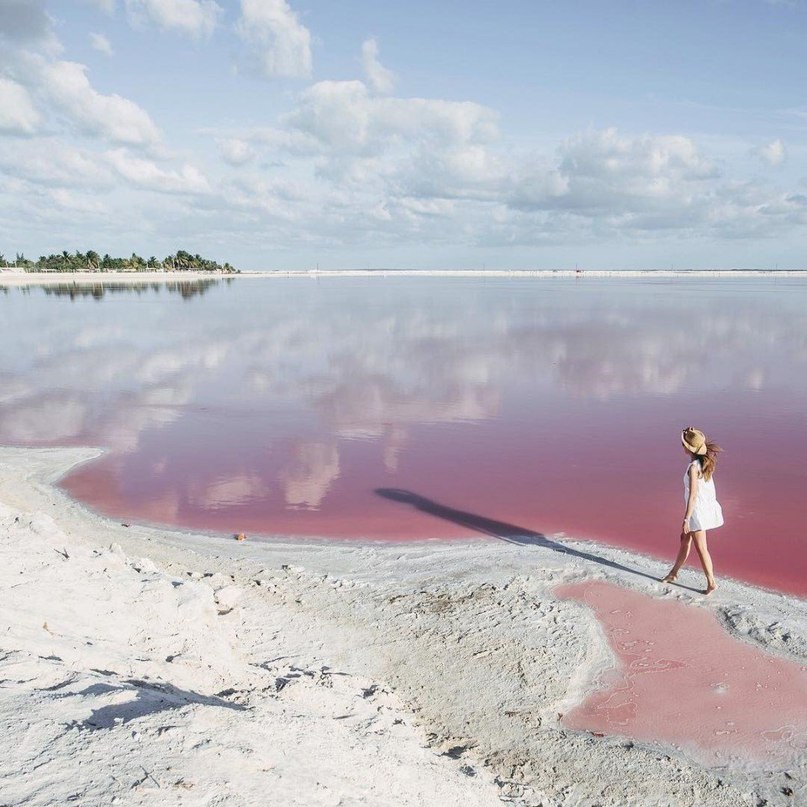 Все заслуживают немного ярких мексиканских эмоций